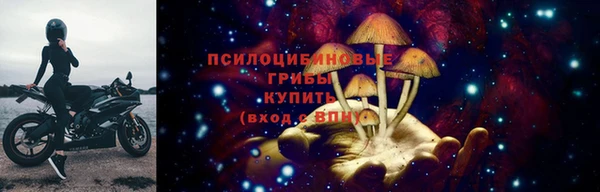 спиды Магас