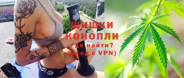 спиды Магас