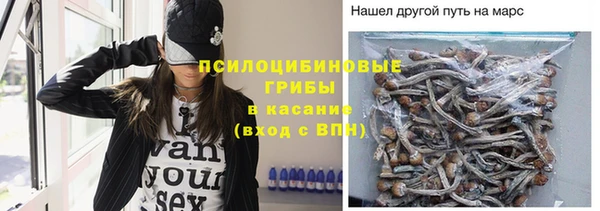 прущая мука Майский