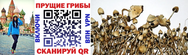 Галлюциногенные грибы ЛСД  Купить где  Лукоянов 
